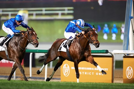 Horse racing action